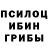 Галлюциногенные грибы Magic Shrooms 7.vanzai
