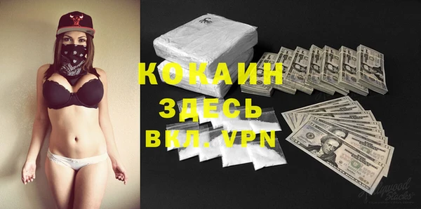 стаф Аркадак