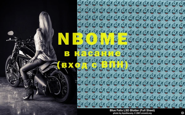 стаф Аркадак