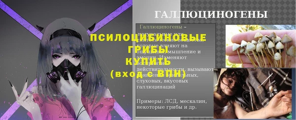 стаф Аркадак