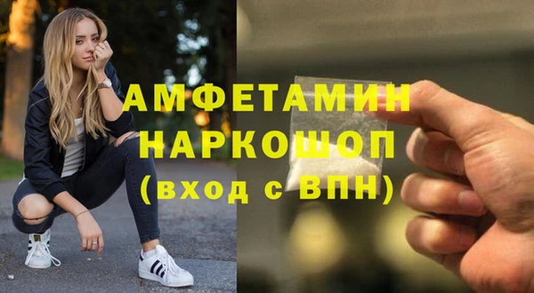 стаф Аркадак